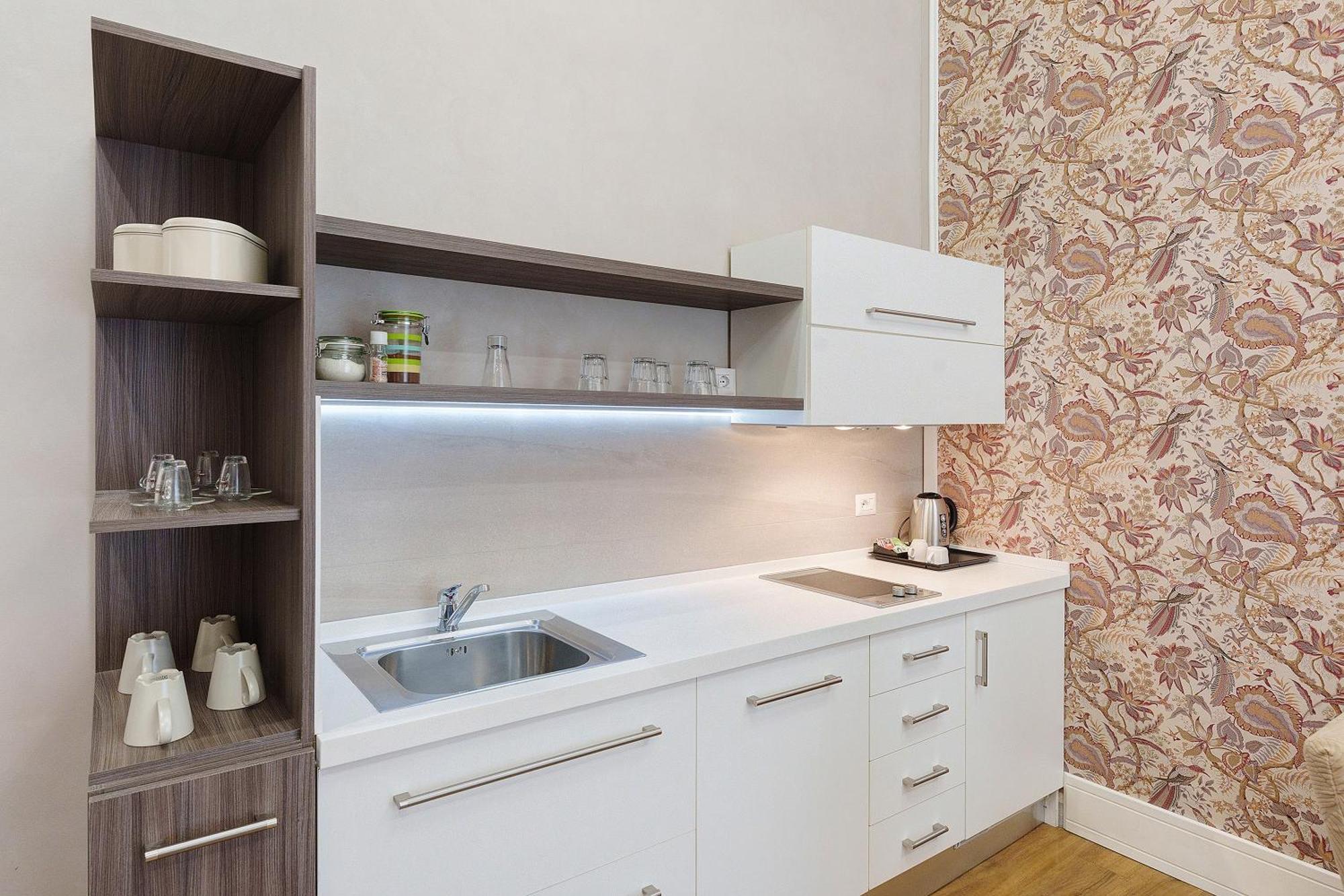 Deluxe One-Bedroom Apartment