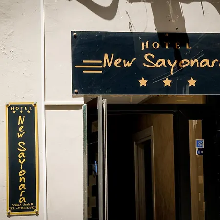 Hotel New Sayonara-2