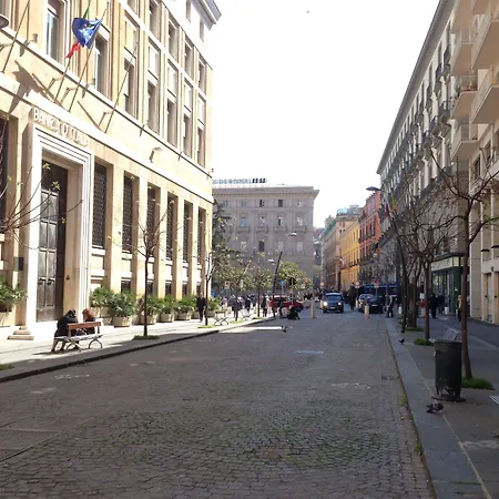 Domus Municipio-2